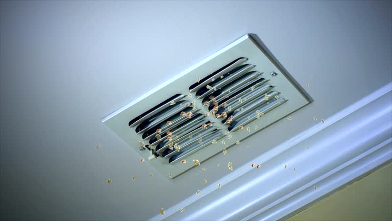 Best Affordable Duct Cleaning Services  in Novato, CA