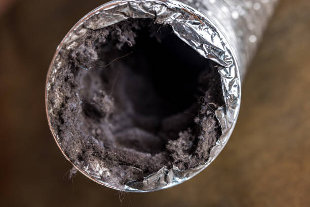 Best Best Air Duct Cleaning Near Me  in Novato, CA