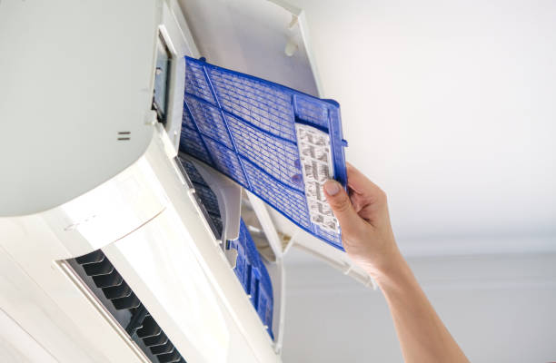Best Local Air Duct Cleaning Services  in Novato, CA