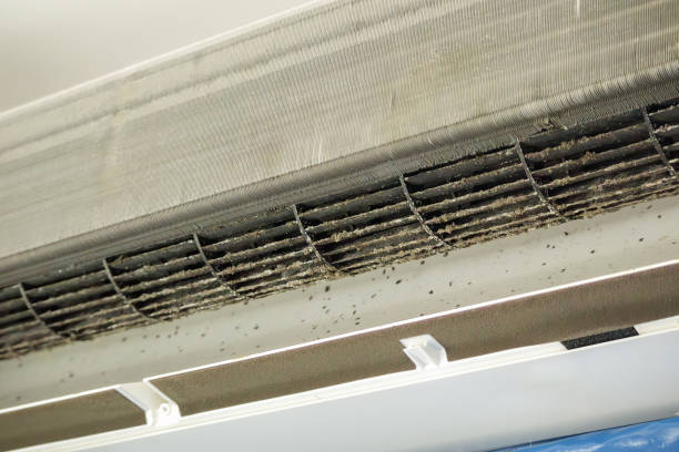 Affordable HVAC Duct Cleaning in Novato, CA