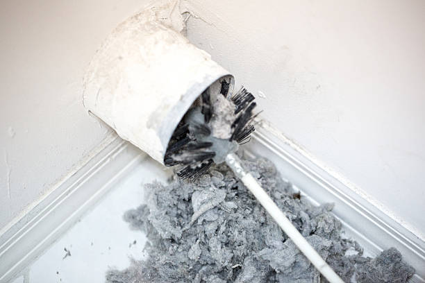 Best Residential Air Duct Cleaning  in Novato, CA